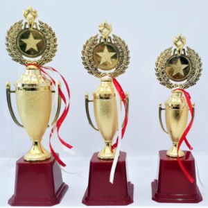 Gold Plating Fiber Trophy Manufacturers in India