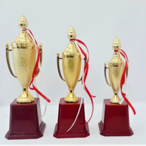 Top-Quality Academic Achievement Trophies from Gurgaon