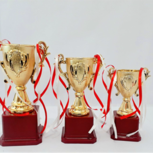 Affordable Personalized School Trophies & Awards in Noida, Gurgaon