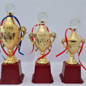 crystal and metal sports trophies in gurgaon