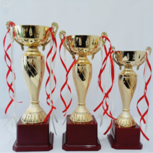 Buy Customised Trophies, Awards & Fiber Cups Online