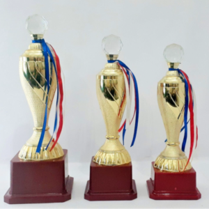 crystal and metal sports trophies in gurgaon