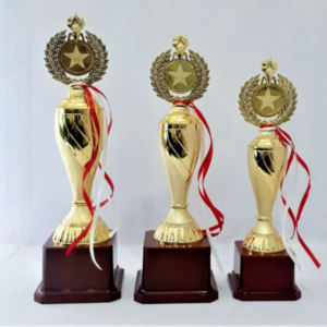 metal trophies in gurgaon