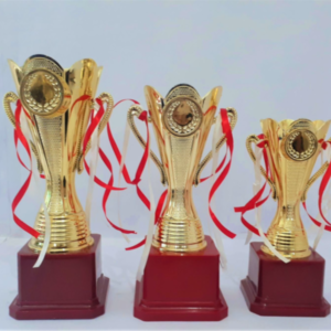 Cheap Football Trophy Cups for Sale