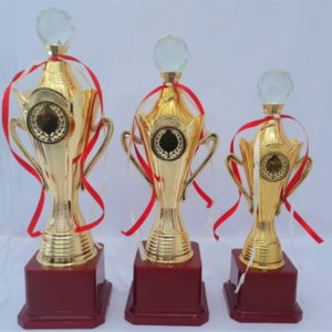 Fiber Golden Cup Trophy With Crystal Diamond Ball