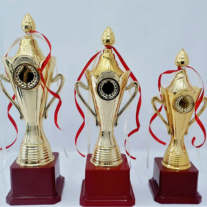 Cup trophies in gurgaon