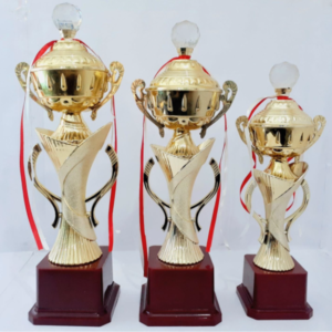 Crystal and Cup trophies in gurgaon