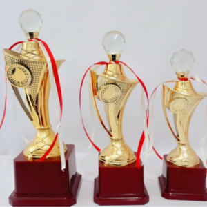 Crystal and Cup trophies in gurgaon