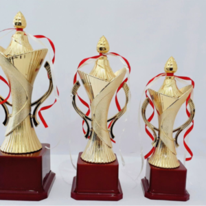 Cup trophies in gurgaon