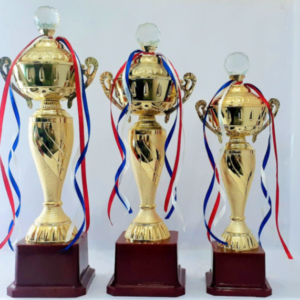 Cup metal trophies in gurgaon