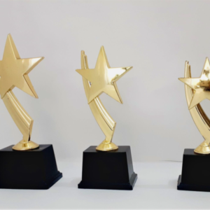 metal star trophies in gurgaon