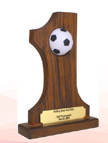 football wood trophies in gurgaon