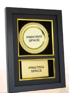 printing space trohpies in gurgaon