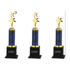 Star Metal trophies in Gurgaon