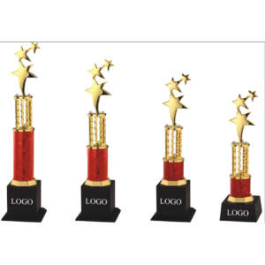 Custom Medals and Trophies for Any Sports Event or Achievement Award and Corporate Event
