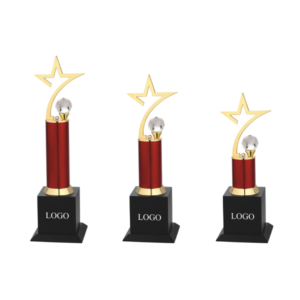 3-Size Crystal Metal Star Awards in Gurgaon