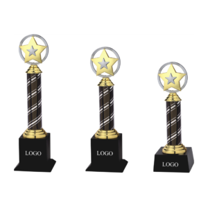 starCyrstal and metal trophies in gurgaon