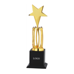 Star Employee Award
