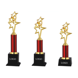 Star Metal Trophies in Gurgaon for any occasion.