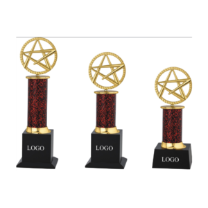 Star Metal Trophies in Gurgaon for any occasion.