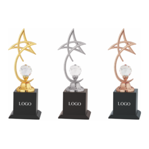 Crystal and metal trophies in Gurgaon