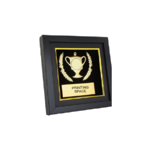 Wooden frame trophy in grugaon india