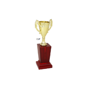 Fiber cup trophy in gurgaon