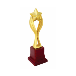 Star trophy for everyone in Gurgaon, India
