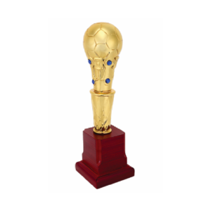 Football trophy for everyone
