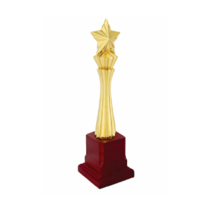 Star trophy in gurgaon India for everyone