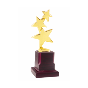 Star Trophies and Awards in Gurgaon