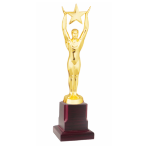 Star Metal Trophy with Wooden Base