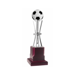 Personalised Football Trophies Near Me with Wooden Base