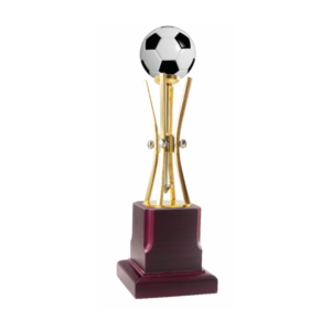 Football trophy in Gurgaon