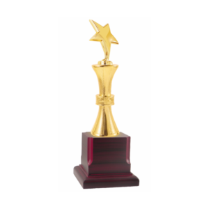 Metal Star Trophy with Wooden Base