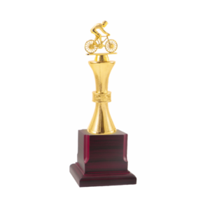 Metal Sports Medals and Trophies with Wooden Base