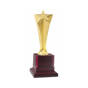 Star Metal Trophy Shop with Wooden Base for Event