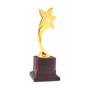 Metal Trophy Manufacturers in India