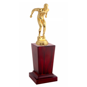 Customised Swimming Metal Trophies & Awards With Wooden Base