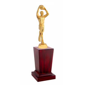 Metal Trophy for Basketball Event, Competition
