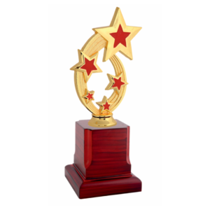 Star metal and wood trophy