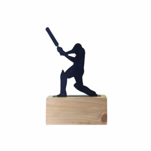 Best Cricket Trophies in India