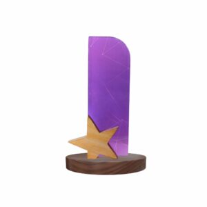 Acrylic Star Trophy in Noida India