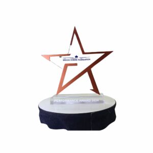 Star Acrylic Trophy in Delhi, India