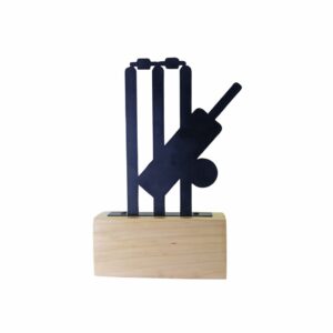 Man of the Match Cricket Trophy India