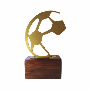 Small Football Trophy in India