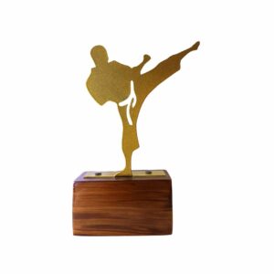 Karate Trophy in Noida India