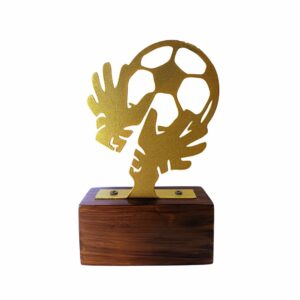 Best Football Trophies in Gurgaon, India